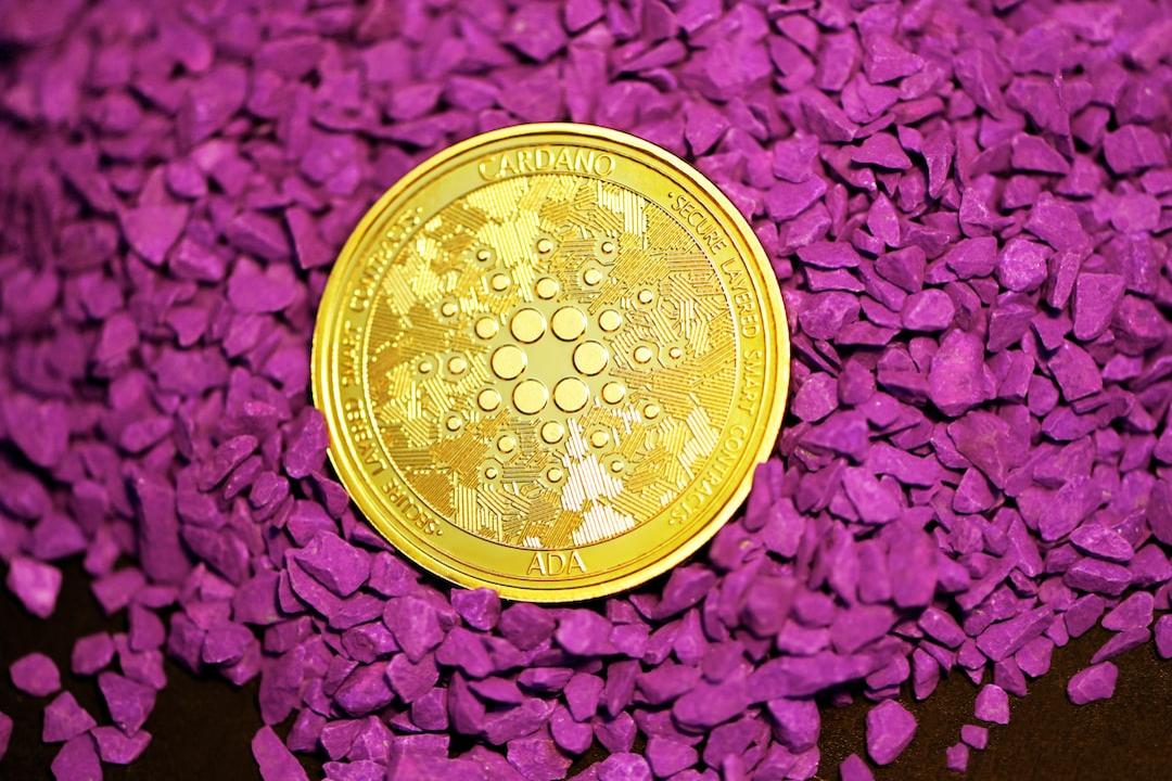 特朗普的Memecoin官方网站泄露新细节——他们的计划是什么